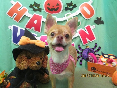 ファイル 5188-2.jpg