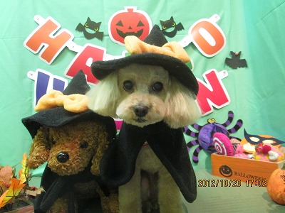 ファイル 5189-1.jpg