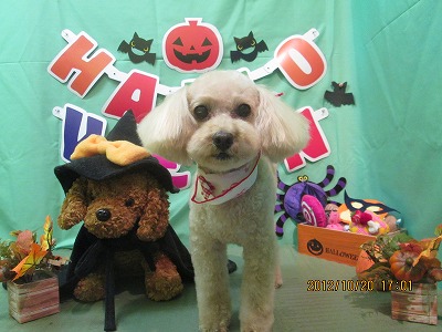 ファイル 5189-2.jpg