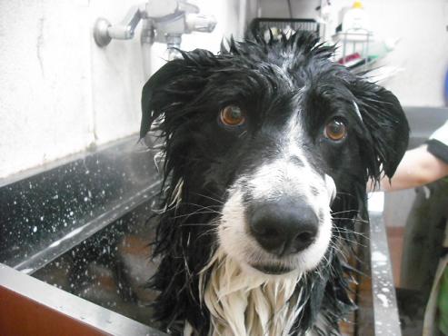 ファイル 519-2.jpg