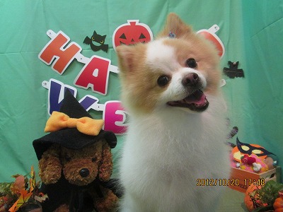 ファイル 5190-2.jpg