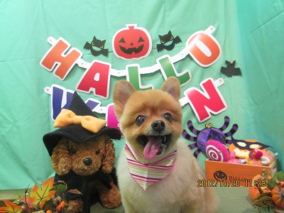 ファイル 5191-2.jpg