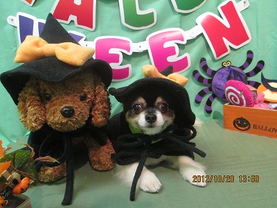 ファイル 5192-1.jpg