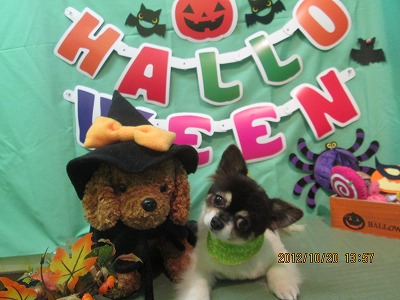 ファイル 5192-2.jpg