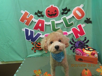 ファイル 5194-2.jpg