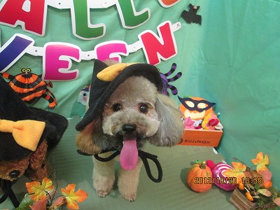 ファイル 5198-1.jpg