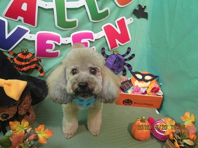 ファイル 5198-2.jpg