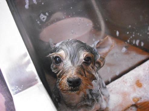 ファイル 52-2.jpg