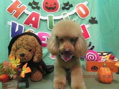 ファイル 5200-1.jpg