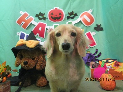 ファイル 5201-1.jpg