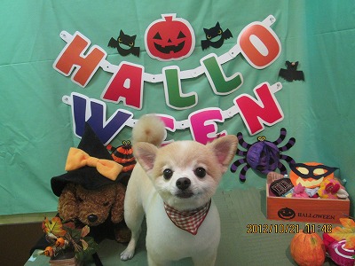 ファイル 5202-1.jpg