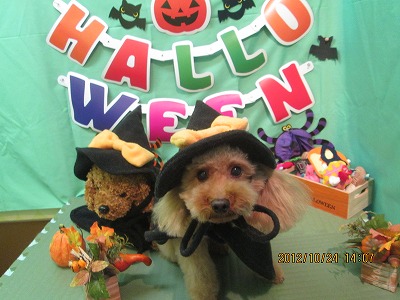 ファイル 5213-1.jpg