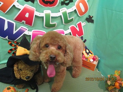 ファイル 5214-1.jpg