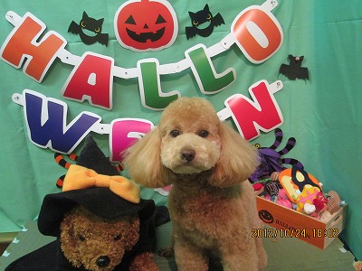 ファイル 5215-1.jpg