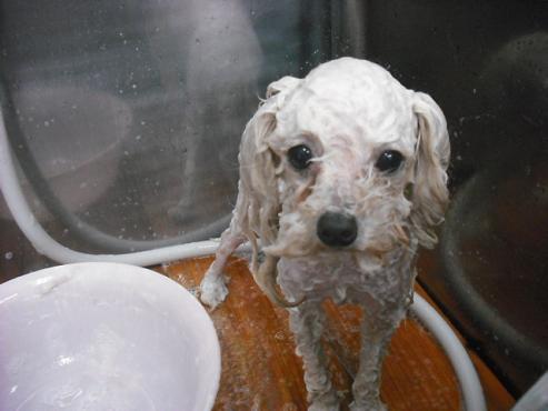 ファイル 522-2.jpg