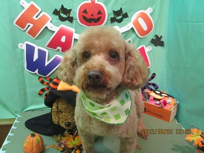 ファイル 5220-1.jpg