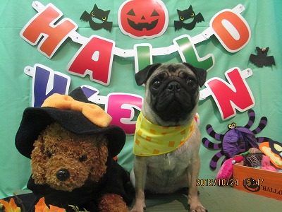 ファイル 5221-1.jpg