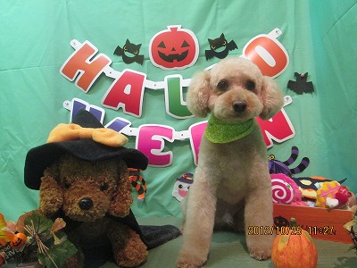 ファイル 5224-1.jpg