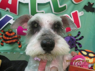 ファイル 5225-1.jpg