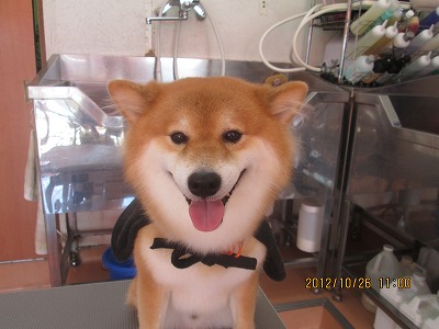 ファイル 5230-1.jpg