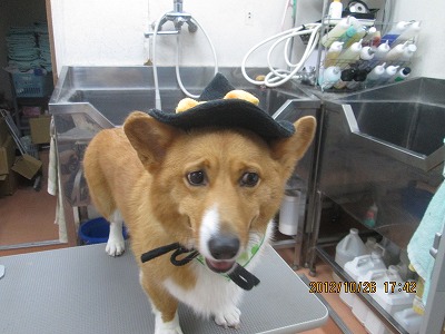 ファイル 5231-1.jpg