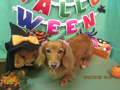 ファイル 5233-2.jpg