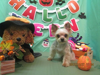 ファイル 5234-2.jpg