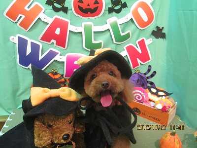 ファイル 5235-1.jpg