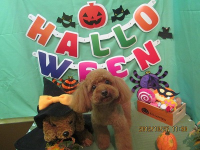 ファイル 5235-2.jpg