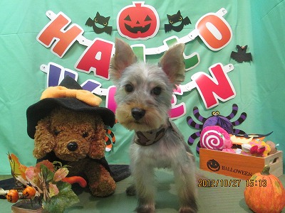 ファイル 5236-1.jpg