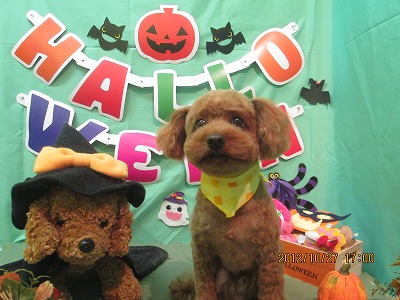 ファイル 5237-2.jpg