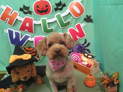 ファイル 5238-2.jpg