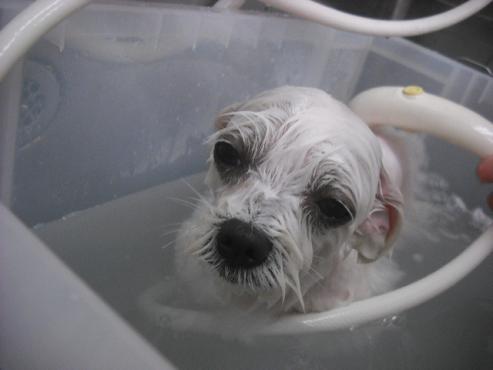 ファイル 524-2.jpg