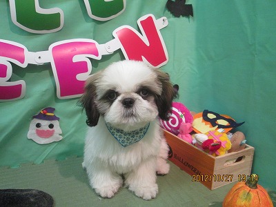 ファイル 5240-1.jpg