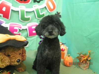 ファイル 5241-2.jpg