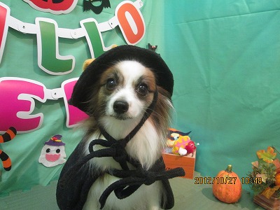 ファイル 5242-1.jpg