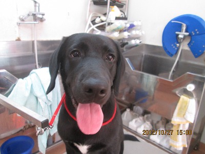 ファイル 5243-1.jpg