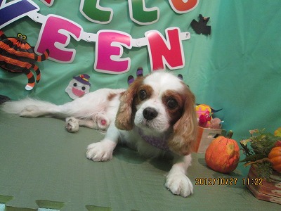 ファイル 5245-2.jpg