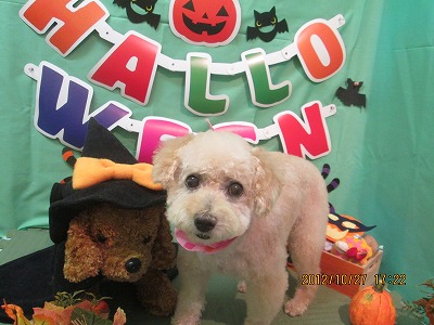 ファイル 5246-2.jpg