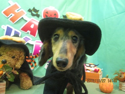 ファイル 5247-1.jpg