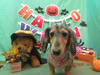 ファイル 5247-2.jpg