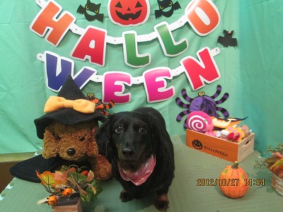 ファイル 5248-1.jpg