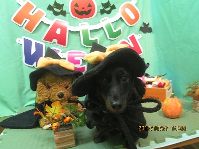 ファイル 5248-2.jpg