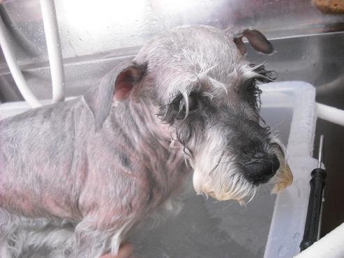 ファイル 525-2.jpg