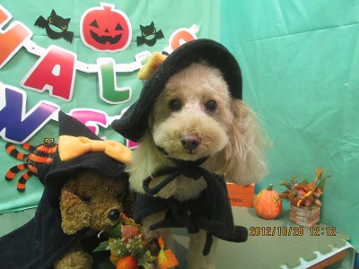 ファイル 5250-1.jpg