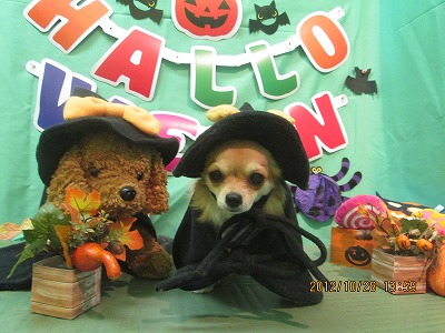 ファイル 5251-1.jpg