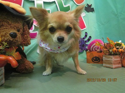 ファイル 5251-2.jpg