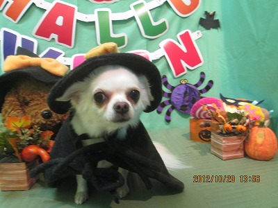 ファイル 5252-1.jpg