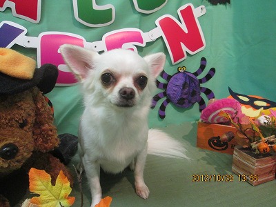 ファイル 5252-2.jpg