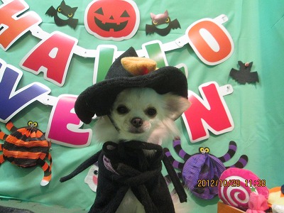 ファイル 5255-1.jpg